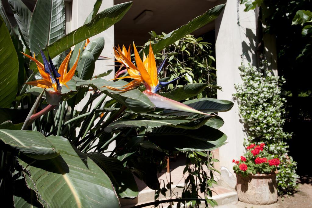Albergo Stella Casciana Terme Exteriér fotografie
